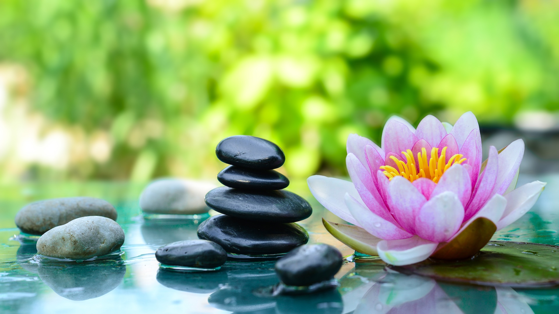 Journee du bien etre 1920px