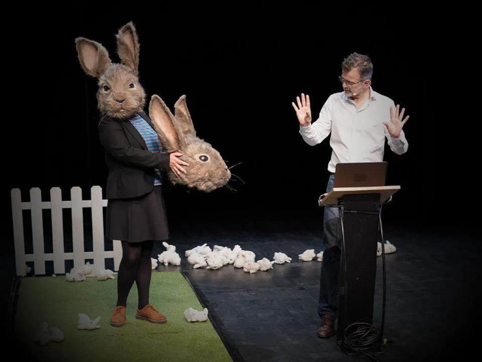 Le problème lapin