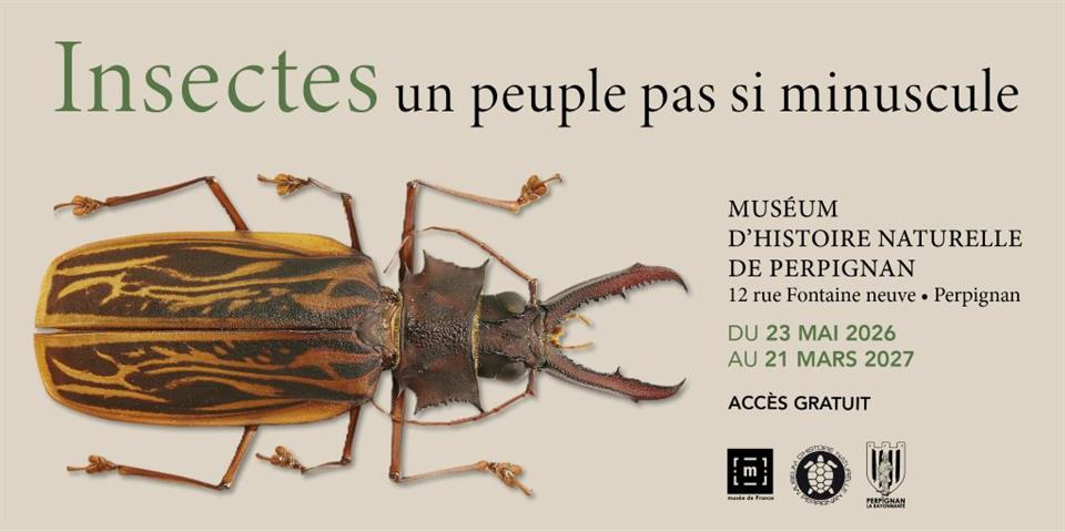 Les insectes, un peuple pas si minuscule