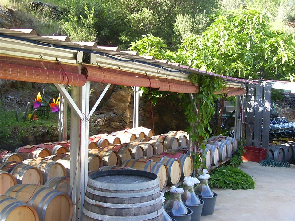 Visite-degustation a la vinaigrerie la guinelle