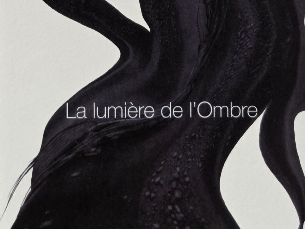 LA LUMIÈRE DE L'OMBRE (MATIÈRES NOIRES)