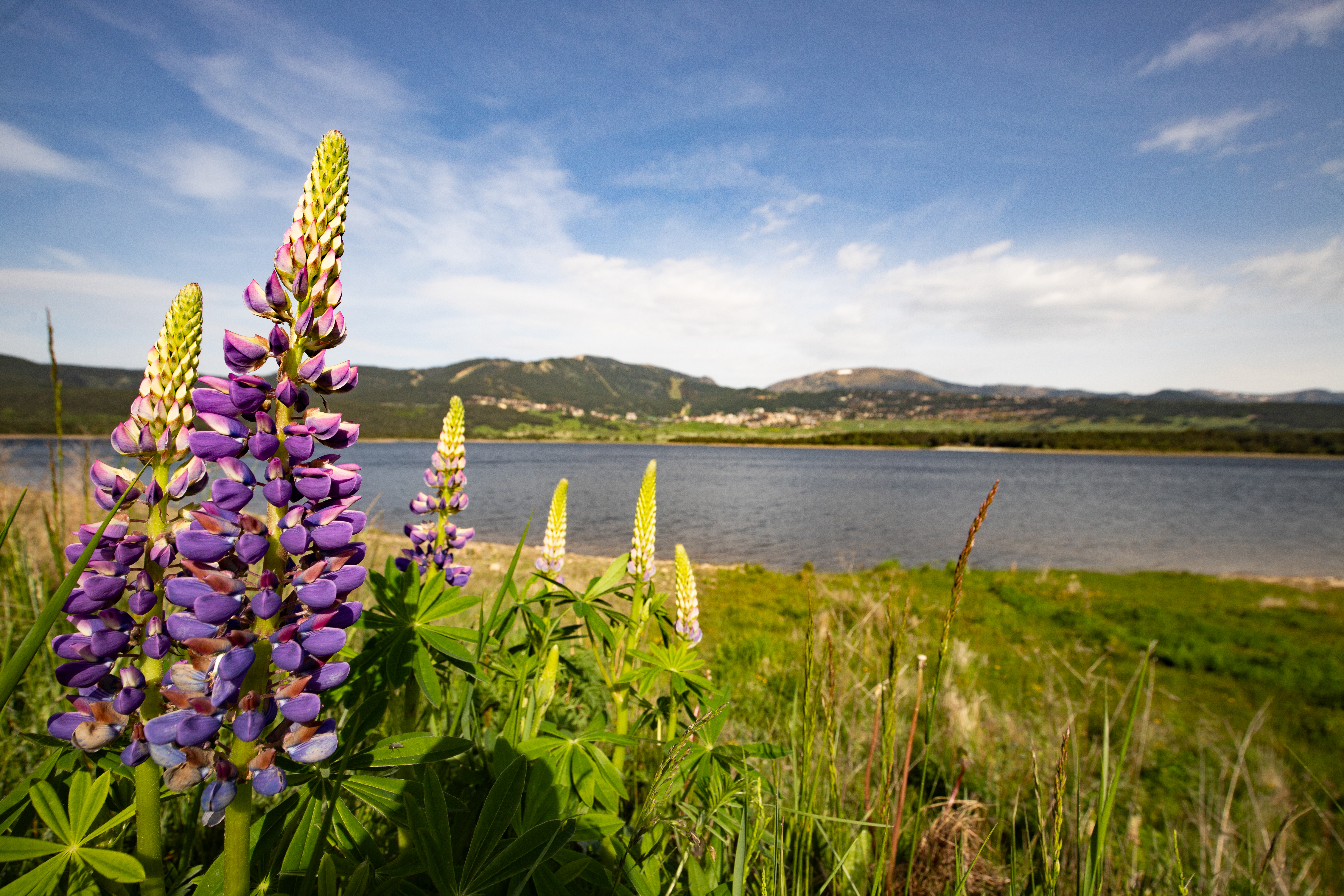 Lac_de_Matemale
