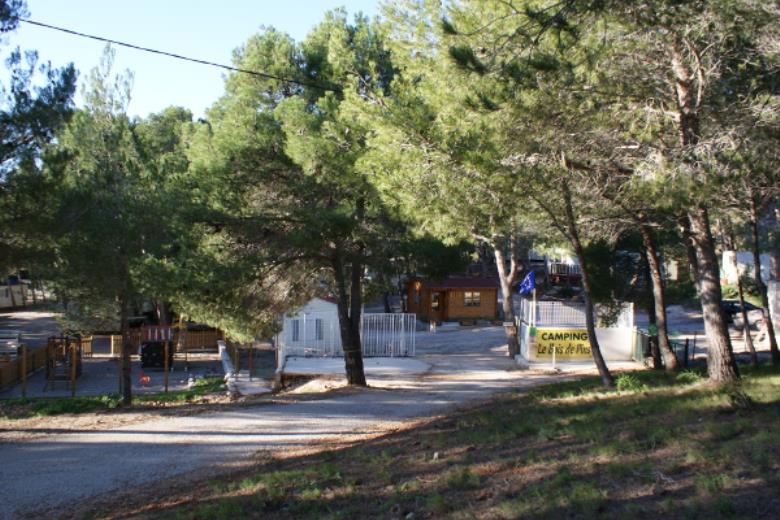 Le Bois de Pins 5