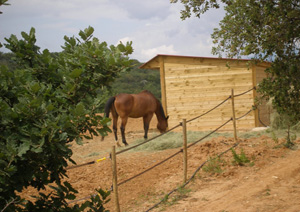 LES ECURIES DE CATALOGNE