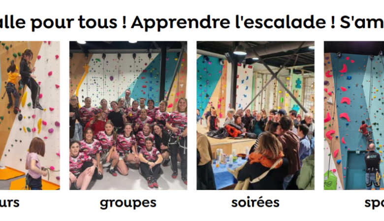 Les chats perchés 2