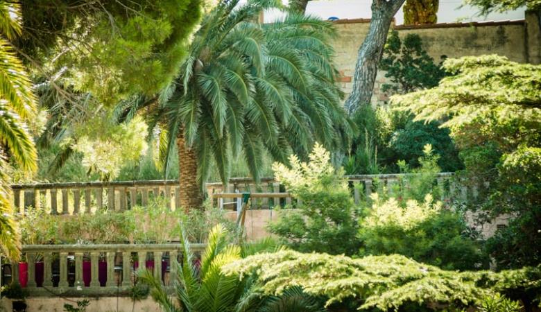 Les-jardins-du-cedre-Port-Vendres-2