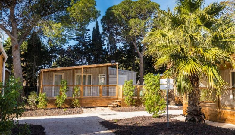 CAMPING L'OASIS & CALIFORNIA
