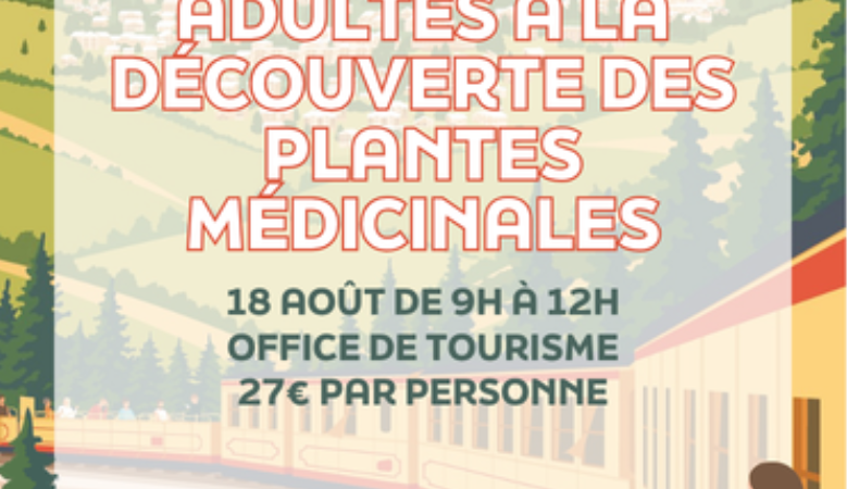 Animations quotidiennes - été 2026 - format tourinsoft  - Maquette à suivre