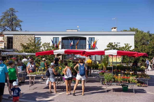 Marché traditionnel du village