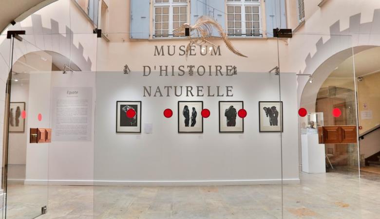Museum d'Histoire Naturelle 1