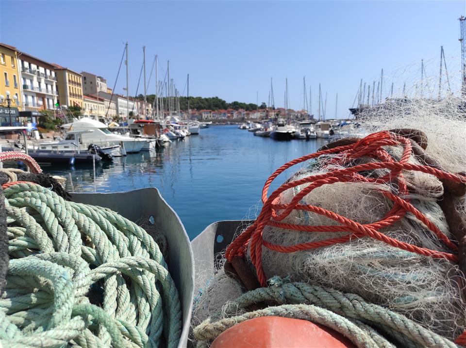 Visite guidee "Port-Vendres au fil de l’eau"