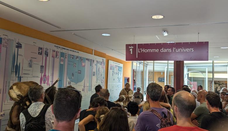 Visite guidée Musée de Tautavel