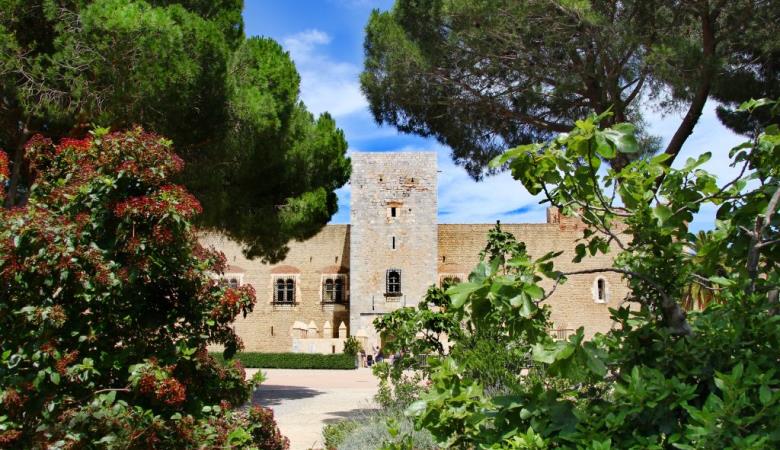 Palais des Rois de Majorque 1