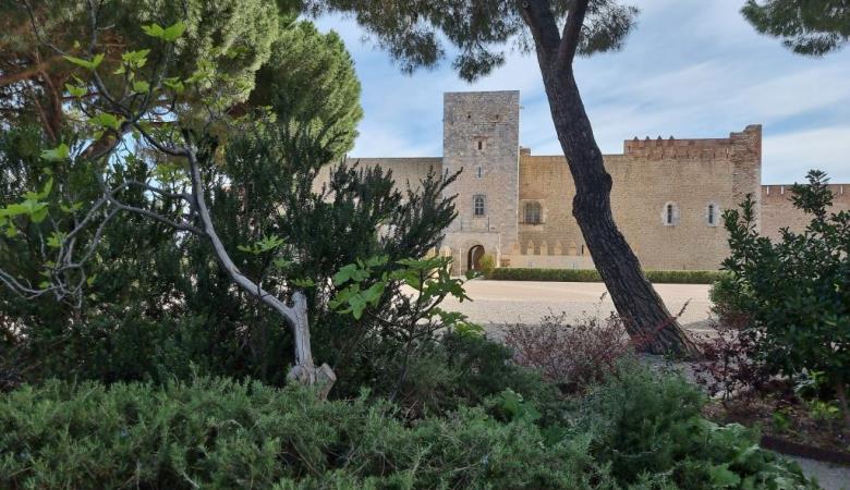 Palais des Rois de Majorque 2