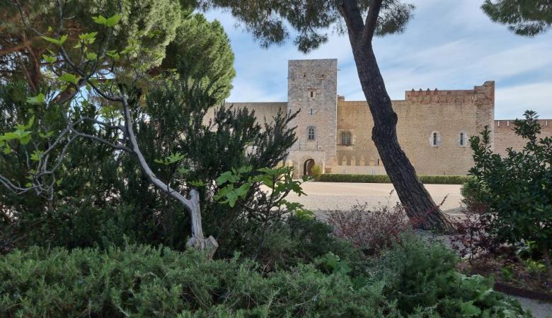 Palais des Rois de Majorque 2