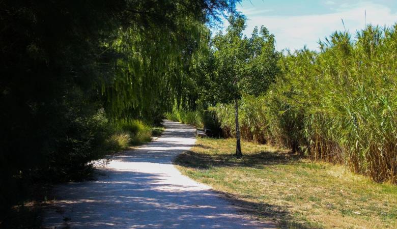 Parc Sant Vicens 5