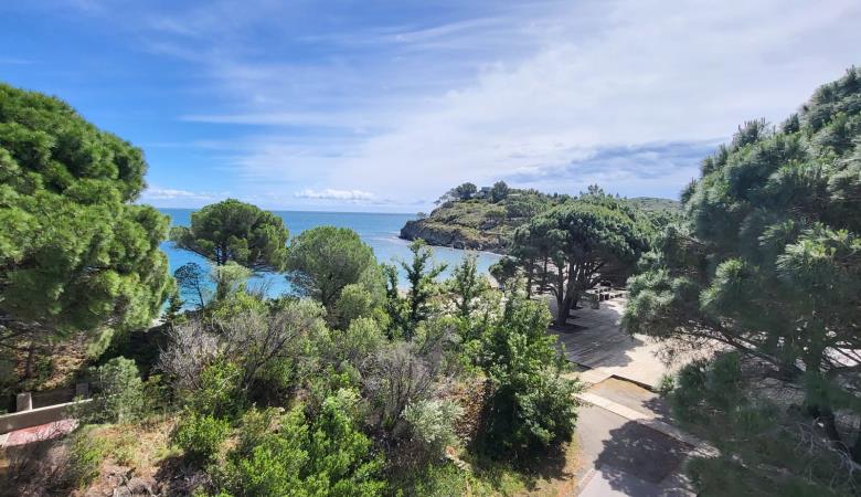 Paulille - 1