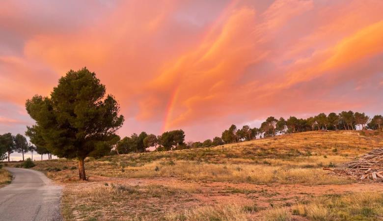 Paysage 1 Paysage 1