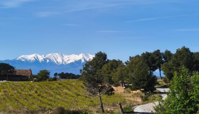 Paysage 2 Paysage 2
