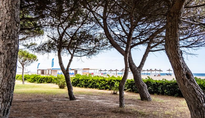 Plage_des_Pins-ArgelesTourisme-Benjamin_COLLARD-5154
