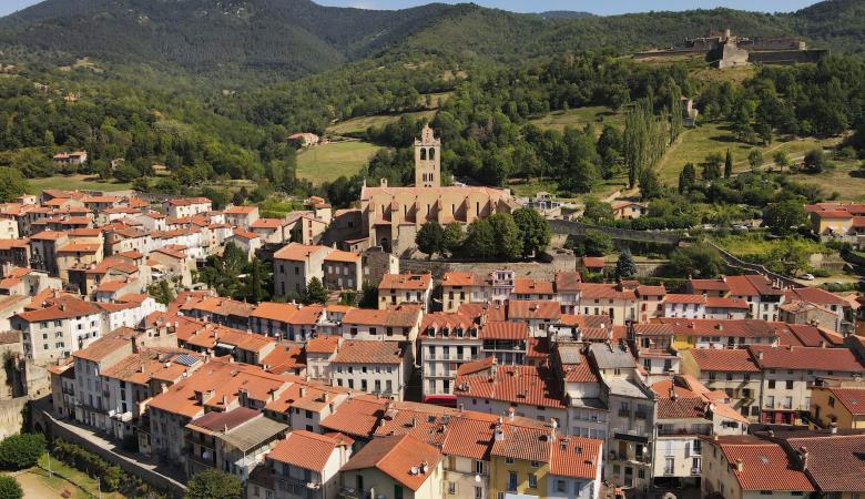 Prats-de-Mollo-la-Preste (35)