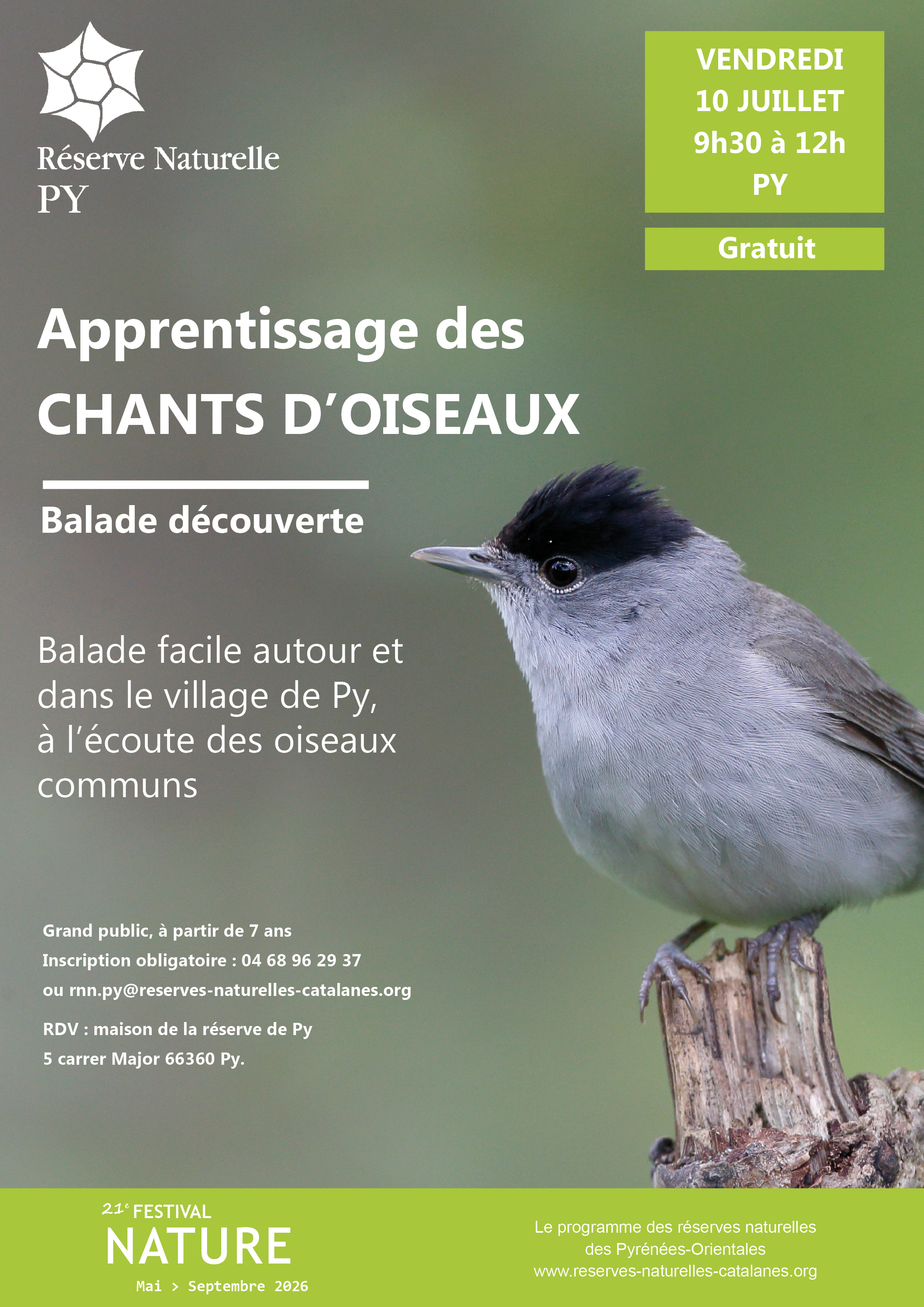 Balade découverte : Apprentissage des chants d’oiseaux