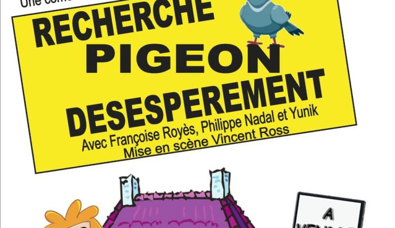 Recherche pigeon désespérément Recherche pigeon désespérément
