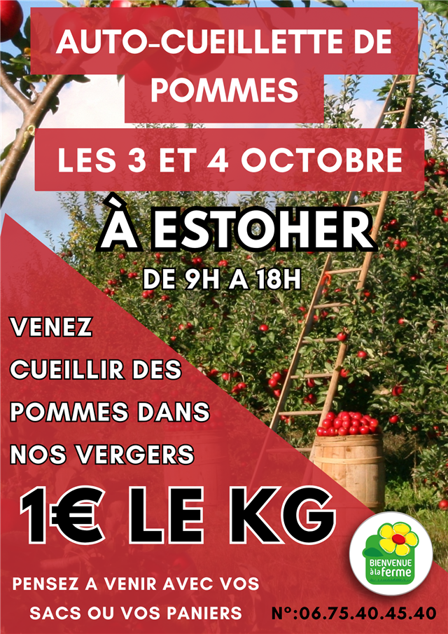 Auto cueillette de pommes