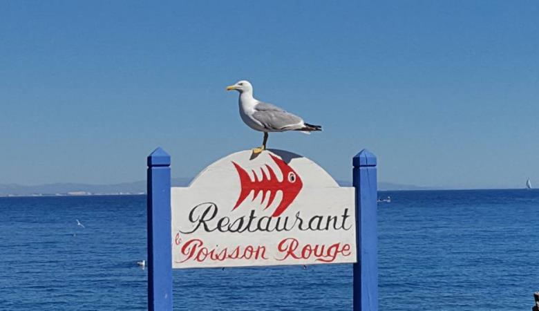 Restaurant le Poisson Rouge