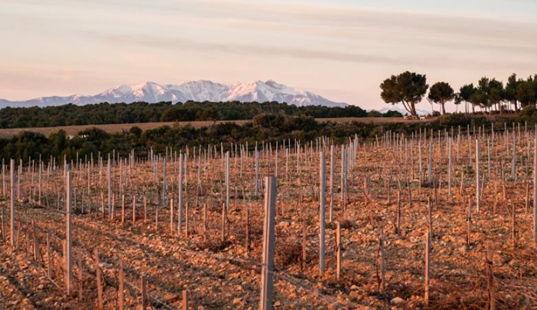 Rivesaltes_les_secrets_de_son_terroir_3_