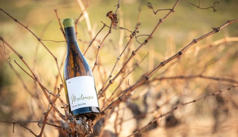 Rivesaltes_les_secrets_de_son_terroir_4_