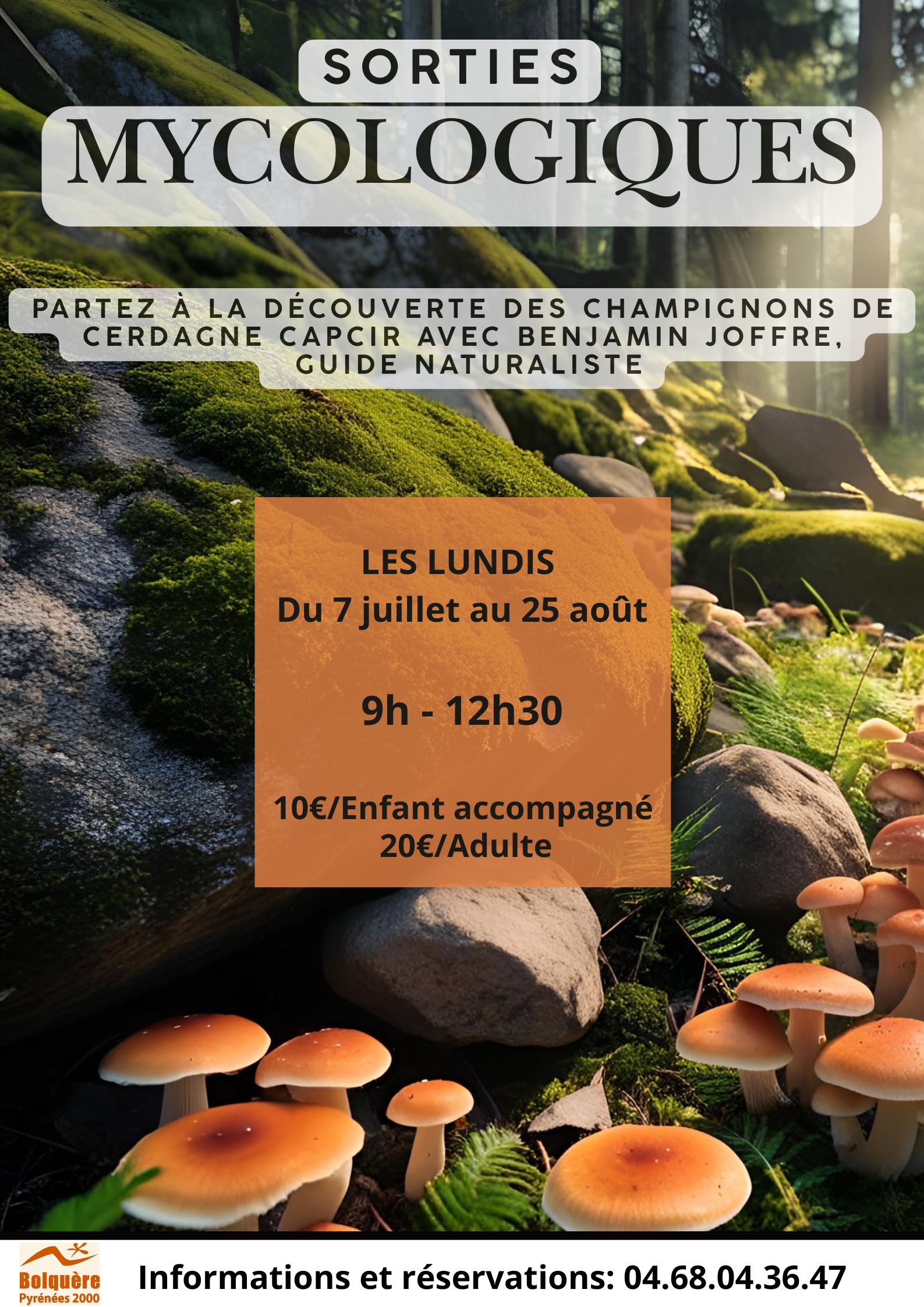 SORTIE MYCOLOGIQUE