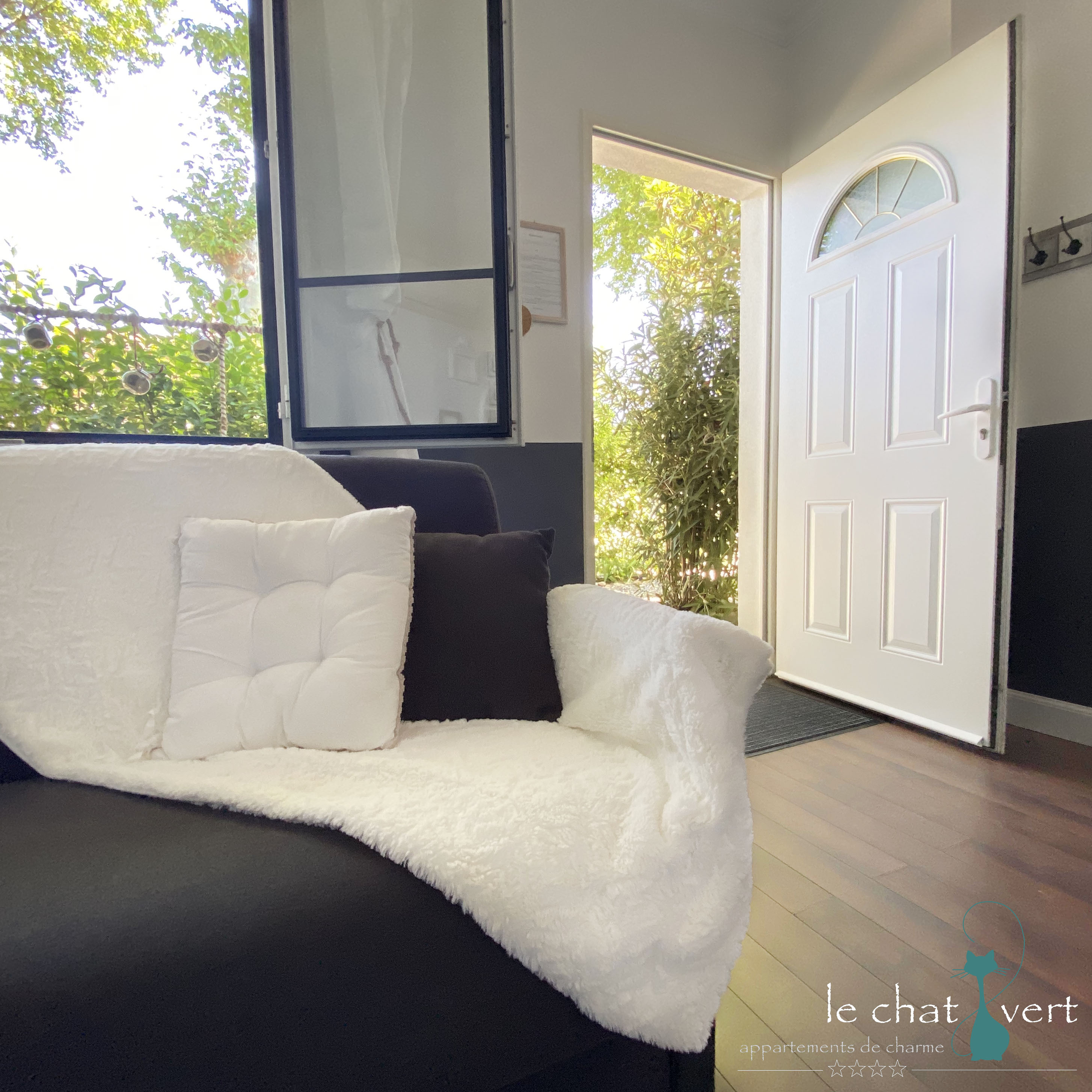 LE CHAT VERT, Saint-André