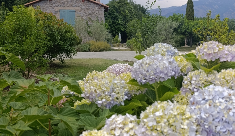 Sans titre Sans titre