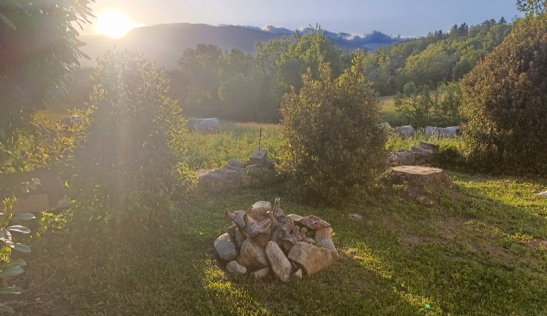 Sans titre11 Sans titre11