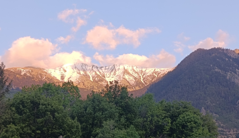 Sans titre12 Sans titre12