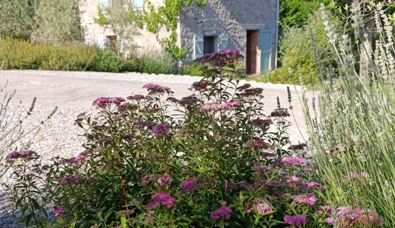 Sans titre2 Sans titre2