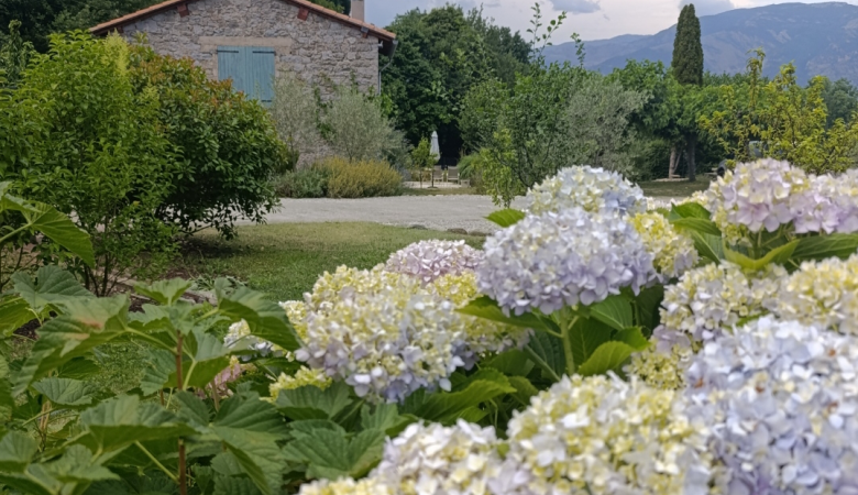 Sans titre5 Sans titre5