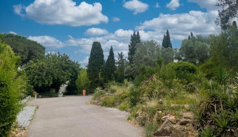 Sant Vicens Céramiques 8