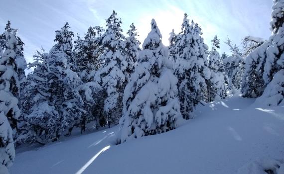 Ski de rando 2 ©CDC Pyrénées Cerdagne