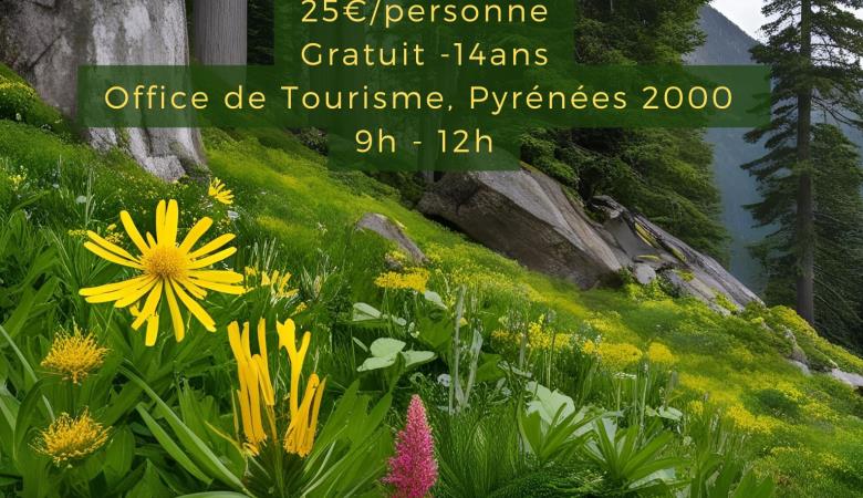 Sortie Plantes Médicinales - 1