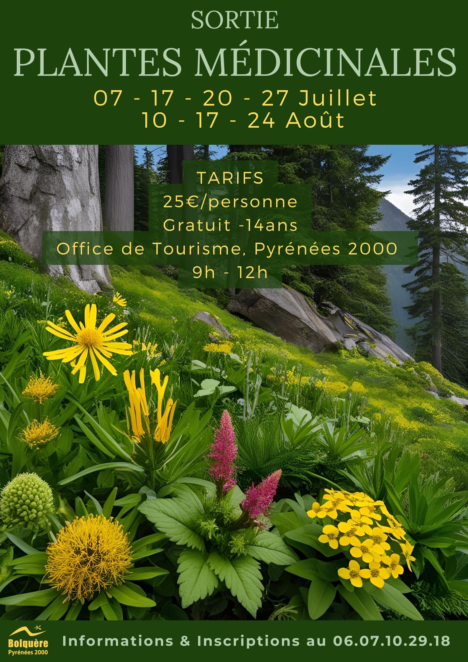 SORTIES PLANTES MEDICINALES DES PYRENEES
