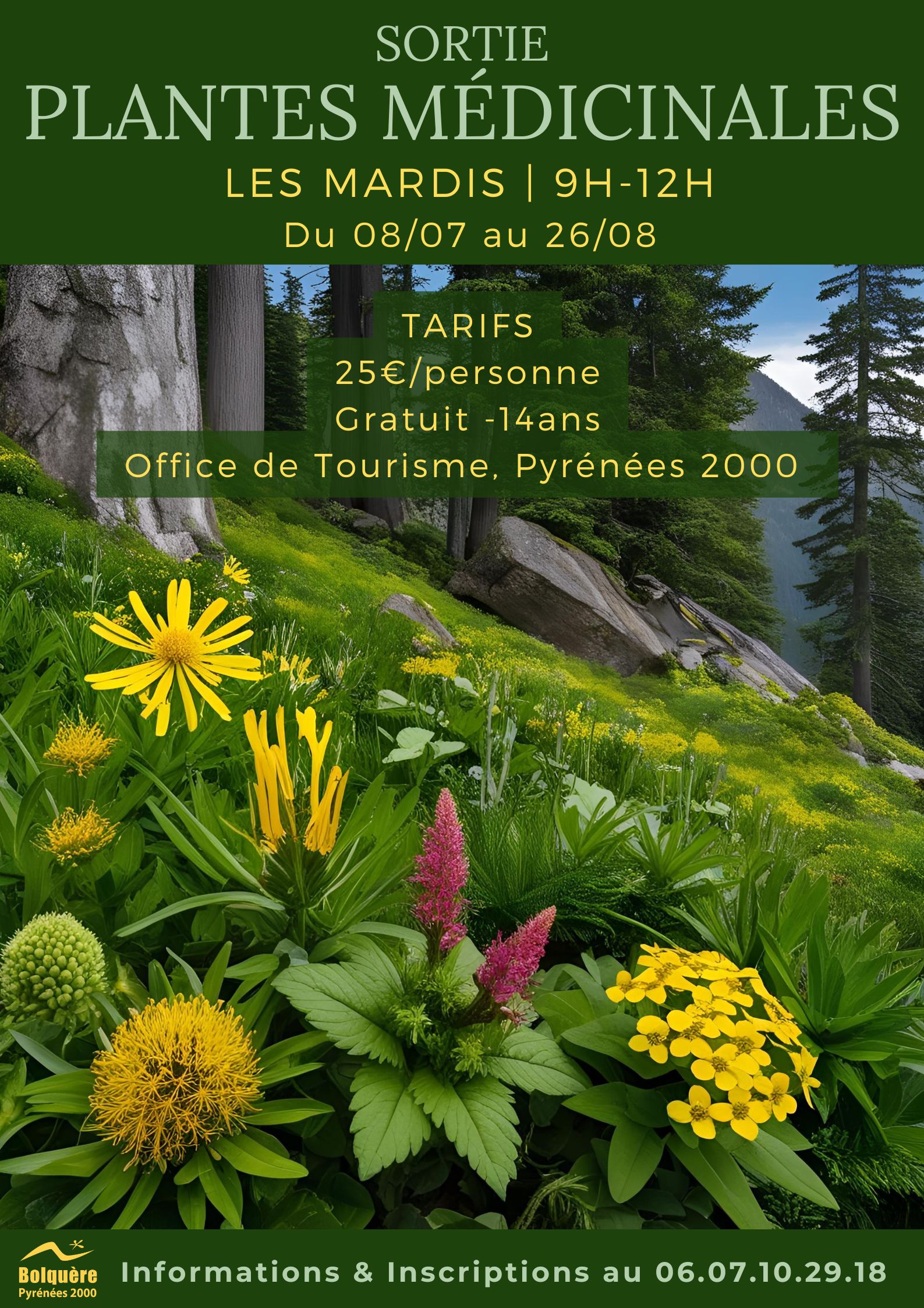 SORTIES PLANTES MEDICINALES DES PYRENEES