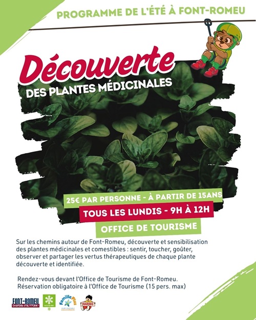 SORTIE POUR ADULTES À LA DÉCOUVERTE DES PLANTES MÉDICINALES