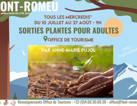 SORTIE POUR ADULTES À LA DÉCOUVERTE DES PLANTES... Du 7 au 12 août 2024