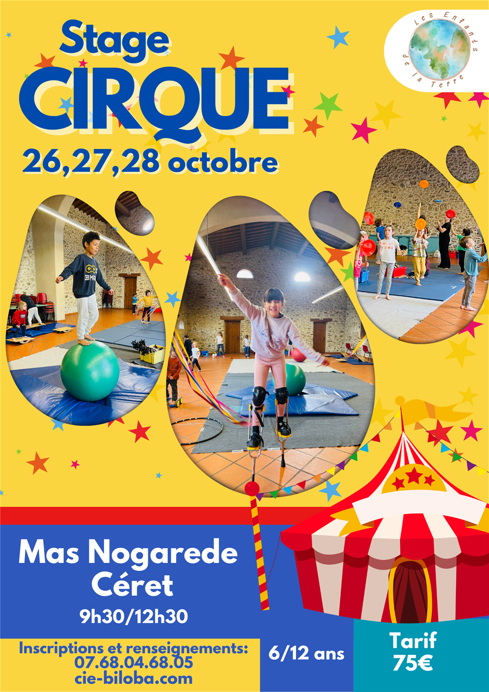 Stage de cirque