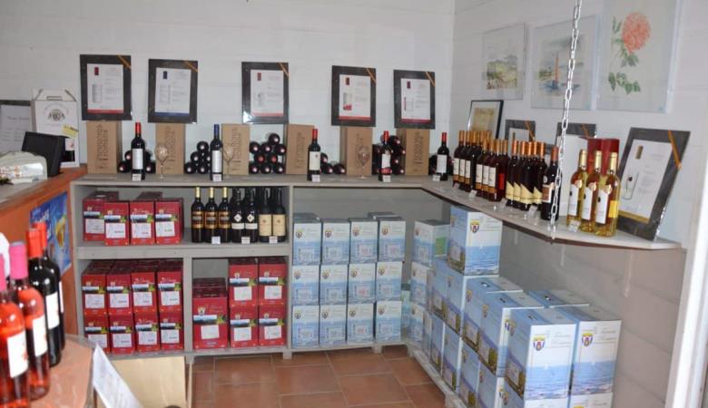 Terroirs Roman Villeneuve de la Raho 2