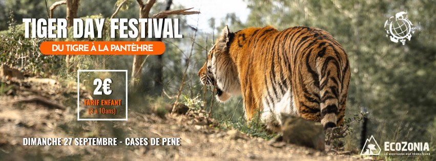 5ᵉ édition du tiger day festival