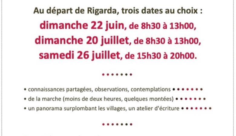 Toits - Juin-Juillet 2025 - A4 - 3 dates