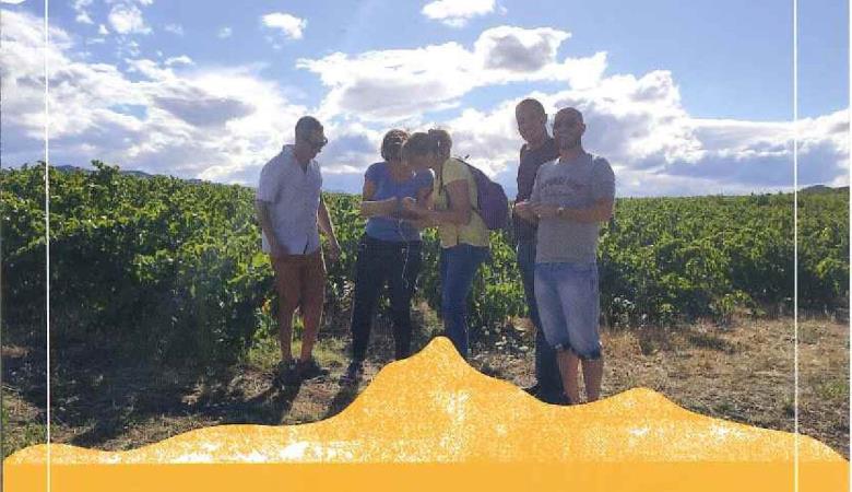 VINO ENIGMA - Escape Game dans les vignes - 2025